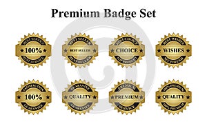 A Set Of Best Seller Badge, Best Wishes Badge, 100 Percent Gaurantee, Quality Guarantee Seal, Best Choice Label, Premium Vector