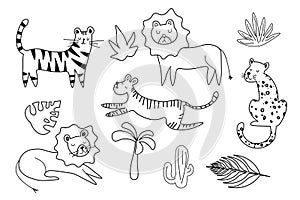 Set of big cat line doodle wild vector drawings. Predators african and safari animals hand drawings pack. illustrations