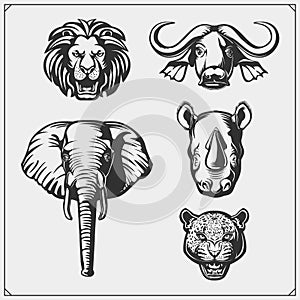 Set of Big Five animals. Lion, elephant, rhino, leopard and buffalo.