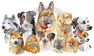 Set of big and small dog breeds