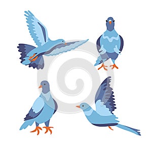 Set of bird dove icon flying in sky and sitting. Flat cartoon character design. Cute peace pigeon silhouette template. Vector