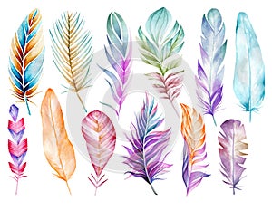 Large set of multicolored feathers of birds. Watercolor drawing