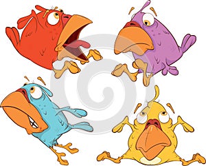 A set of birdies cartoon