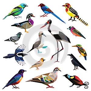 Set of birds