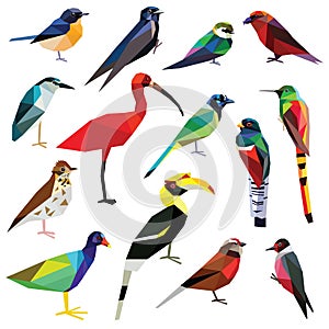 Set of birds