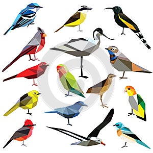 Set of birds