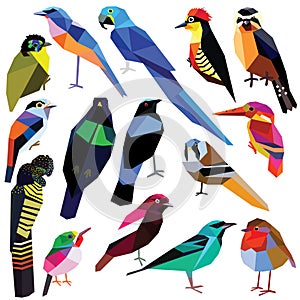 Set of birds