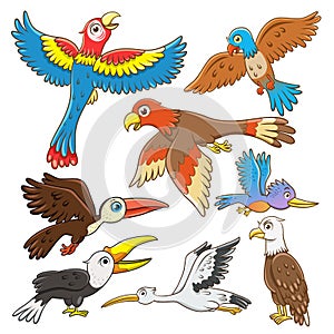 Set of birds cartoon.