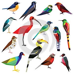 Un conjunto compuesto por observación de aves 