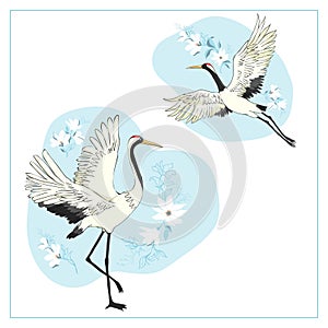 Set of birds. Crane, stork, heron. Vector.