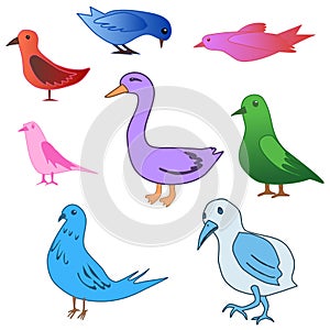 A set of birds of different colors. Vector cartoon illustration childish style. images isolated on transparent