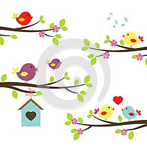 Set of birds on flowering branches