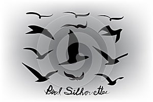 Set of birds silhouettes vector icon