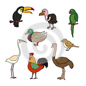 Set of birds vector Cartoon birds
