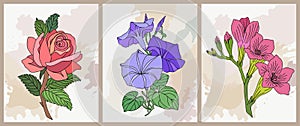 Set of birth month flower vector art posters.