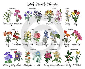 Set of birth month flowers colorful vector drawing