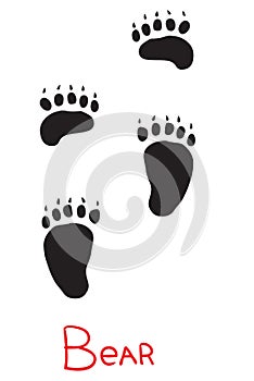 Set of black bear tracks, icon, isolated object on a white background, vector illustration,