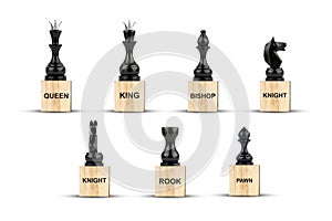 Set of black chess pieces, on wooden blocks. Isolated on a white background. Education. Sport. Chess school. Design element