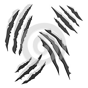 Set of black claw scratches isolated on white background. Vector illustration