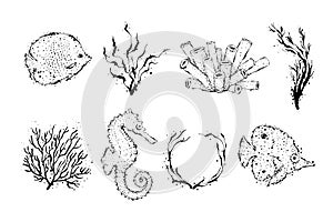 Set of black coral, seaweed, anchor, seahorse, and fishes. Hand drawn underwater creatures with dots. Stylization design