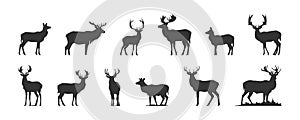 Set of black deer silhouettes isolated on white background, vector illustration