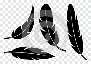 Set of black feather isolated. Vector illustration