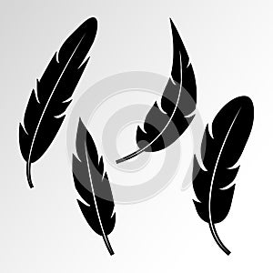 Set of feather. Vector illustration
