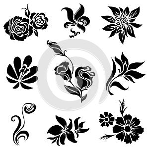 Set of black flower design elements