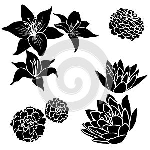 Set of black flower design elements