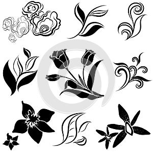 Set of black flower and leafs design elements