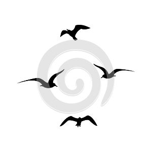 Set of black flying seagull silhouettes on white background.