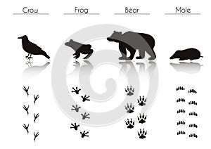 Set of Black Forest Animals and Birds Silhouettes: Crow, Frog, B