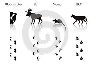 Set of Black Forest Animals and Birds Silhouettes: Woodpecker, E