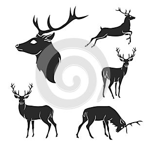 Set of black forest deer silhouettes. Suitable for