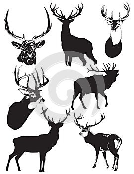Set of black forest deer silhouettes vector illustration poster template