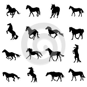 Set of black horses silhouettes on white background