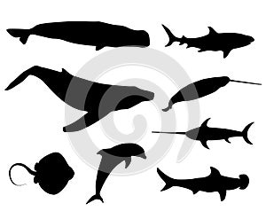 Set of black isolated contour silhouettes of fish, whale, cachalot, sperm-whale, shark,