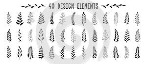 Set of black laurels branches. Flower ornament dividers collection. Vintage laurel wreaths. Hand drawn vector laurel leaves