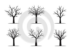 Set of black naked Trees.