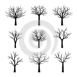 Set Black naked Trees without Leaves.