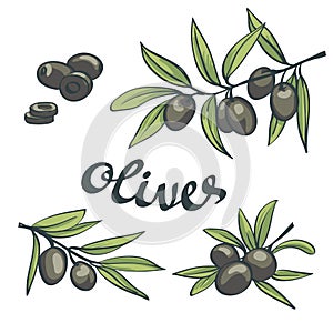 Set of black olives with leaves.