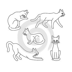 Set of black outline cats. Isolated black line running, sitting, washing, lying, playing cat on white background. Page of coloring