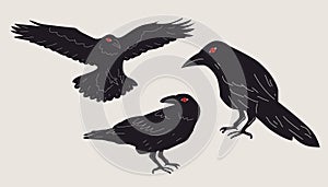 Set black Raven or Crow bird. Side view. Cartoon style, flat design.