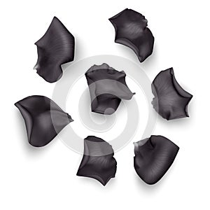 Set of Black rose petals , close-up on a white background can be used for design of romantic greetings. Vector Eps10 illustration