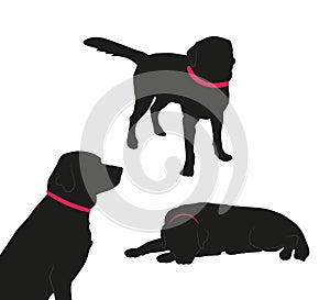 Set of black silhouette of big dog with collar on white background.