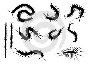 Set of black silhouette centipede in flat icon style. isolated o