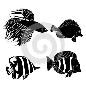 Set of black silhouette different tropical fish. Fish rooster, pennant fish, royal angel. Marine inhabitants. Vector silhouette