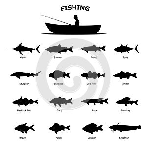 Set of black silhouette of sea river fish