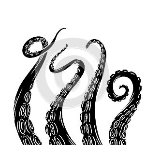 Set of black silhouette sketches octopus tentacles. Creepy limbs of marine inhabitants. Vector object