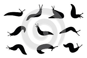 Set of black silhouette slug cartoon animal design flat vector illustration isolated on white background